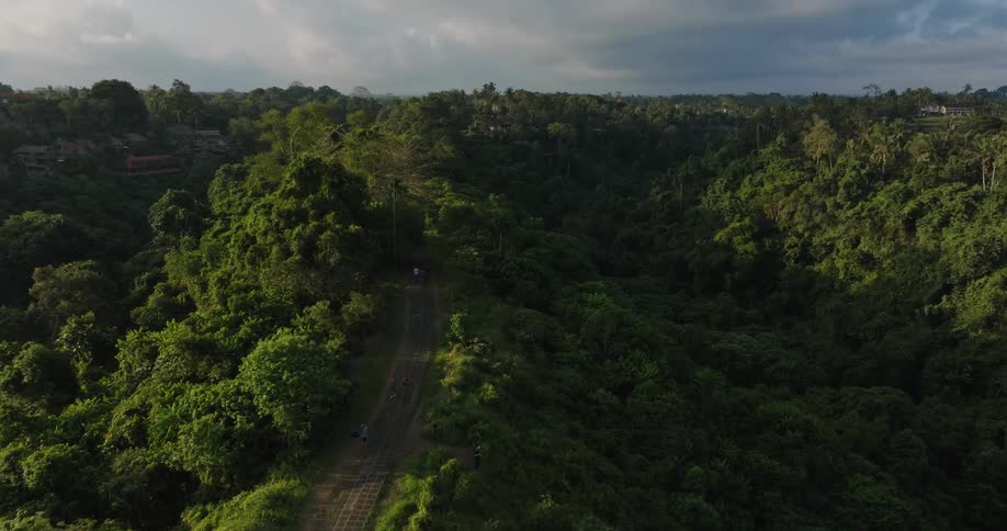 People walking on a rural road through the forest on the hills at morning