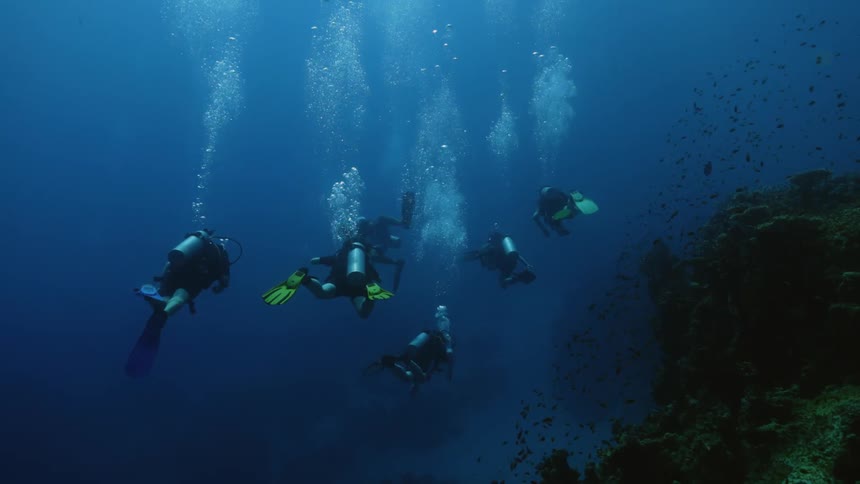 A group of scuba divers swim near sunken ship wreckage and a school of fish as bubbles rise to the surface in the clear blue water