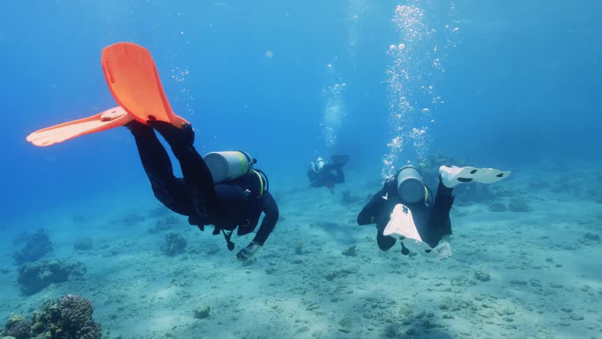 Scuba divers swim through water near seafloor