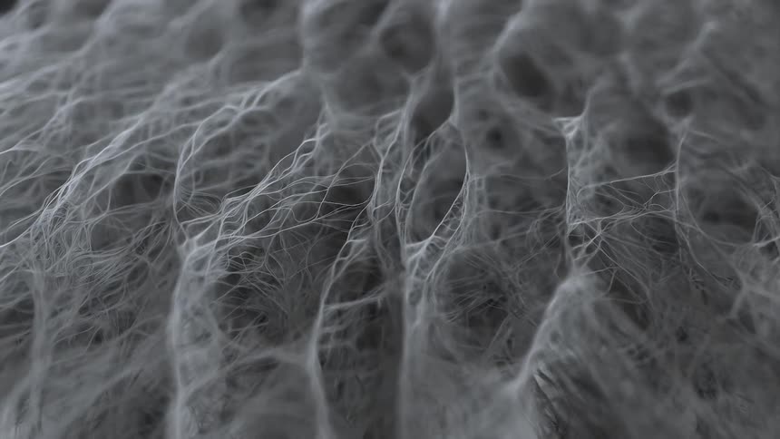 Light shines on an organic weblike fiber that is moving in the darkness as if it is alive