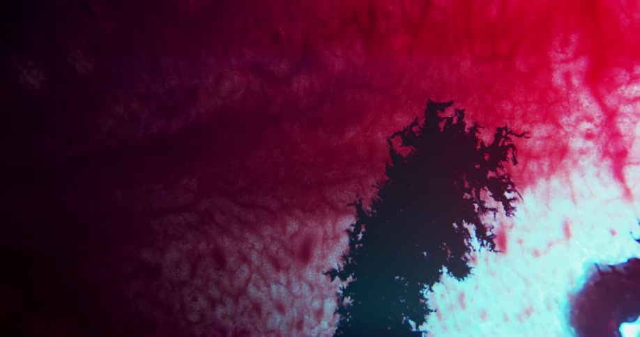 The black color moves into the red