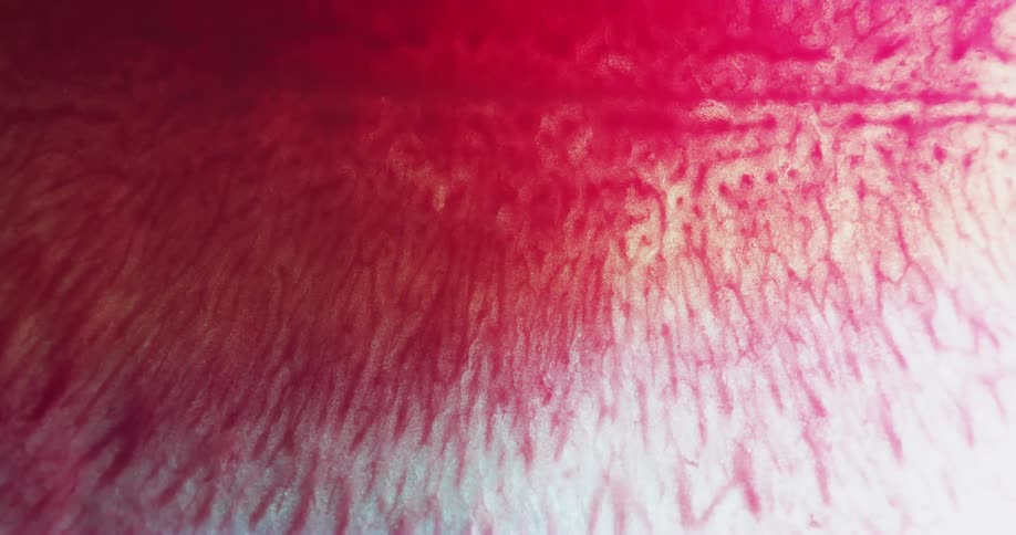 Red and white textured and dyed fabric