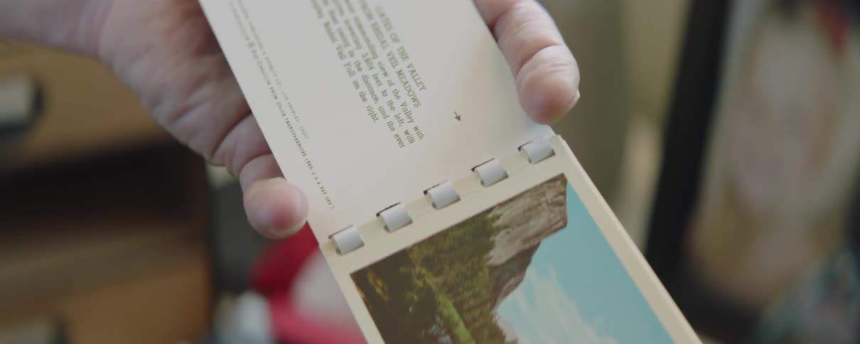 Hand of a man holding a small booklet with a picture of a national park