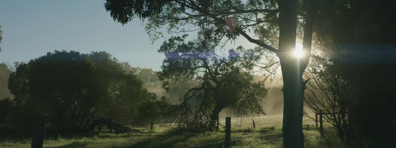 The view is of the nature area in the day time