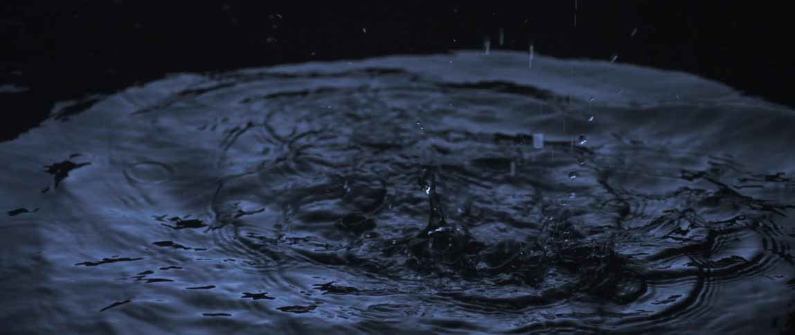 Rain droplets are falling into a puddle