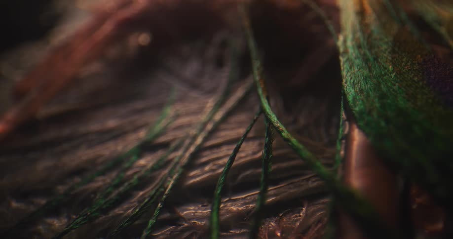 The green strands are on the feather