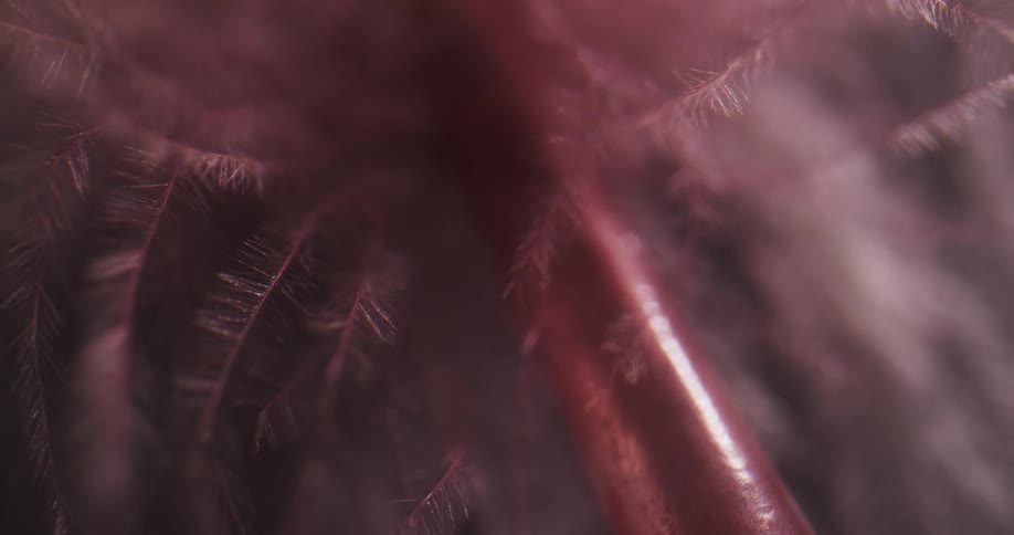 The strands move in the wind