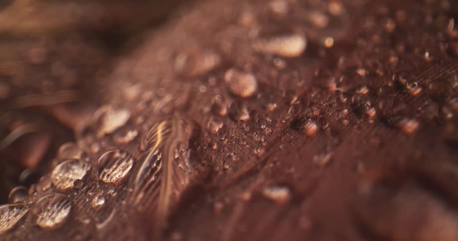 Water droplets and spheres shine in the light on a textured surface