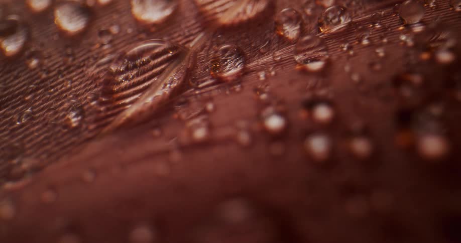Water droplets on a brown textured surface