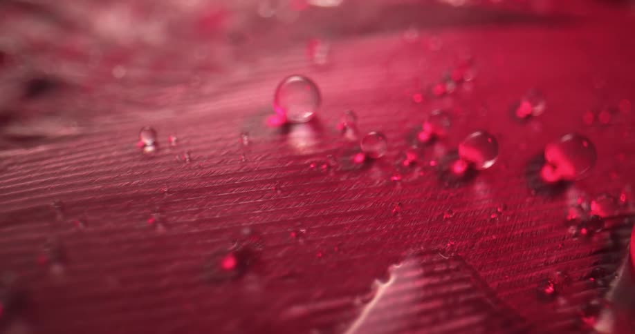 Drops hit the red surface
