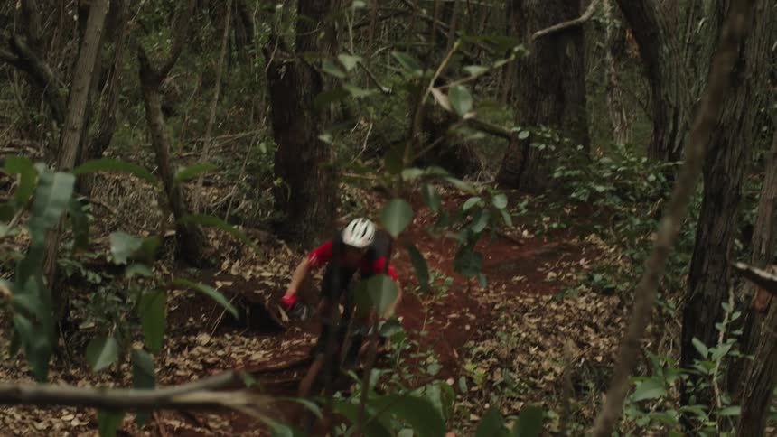 Cyclist ride dirt bike along ground and up slope in forest