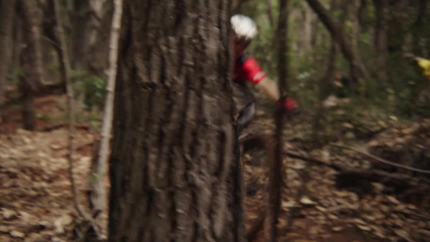 A man mountain bikes through a forest