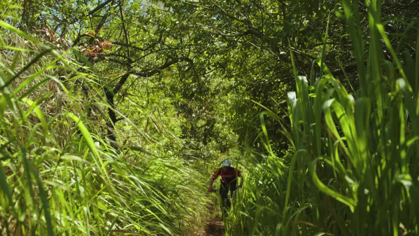 A man riding a mountain bike through a grassy trail