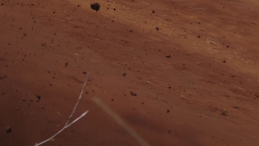 Man drives a motocross bicycle on a trail downhill through a forest at daytime