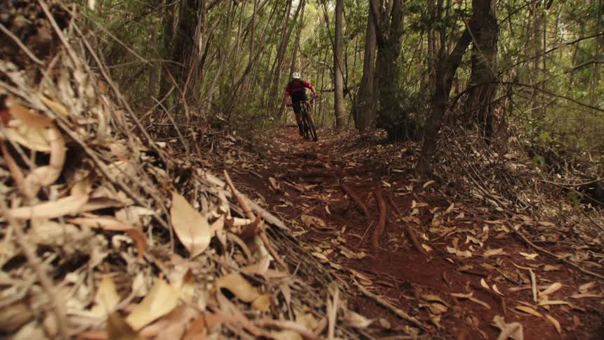 A boy on a bike is riding fast and wild on a trail in the woods