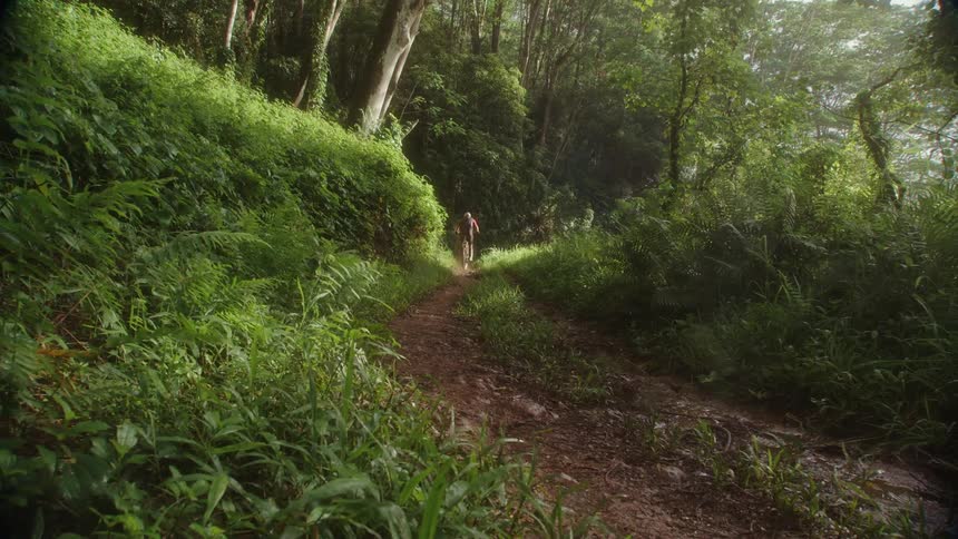 A man rides his bike very quickly down a dirt path in the woods and does a jump at the end