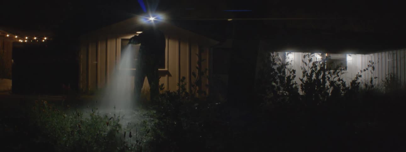 A person waters plants outside their home at night