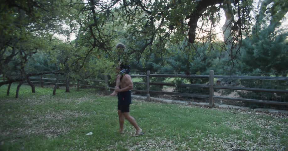 Father carrying his son on his shoulders walking between the trees on a ranch