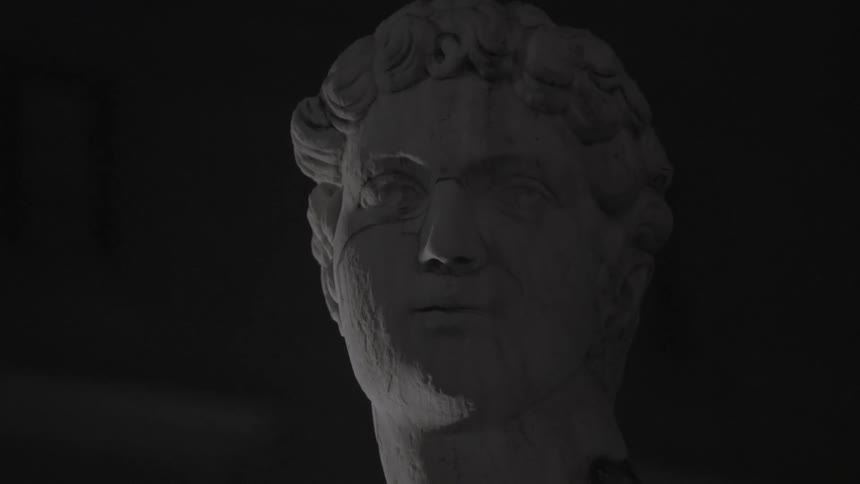 The cracked stone head of a statue