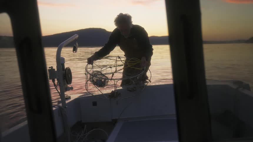 The fisherman puts the cage of crabs on the boat