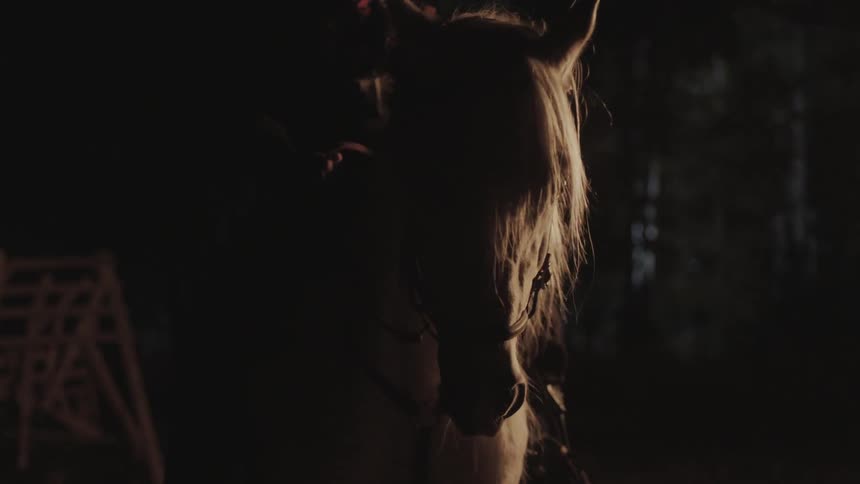 A man gesturing while sitting on a horse