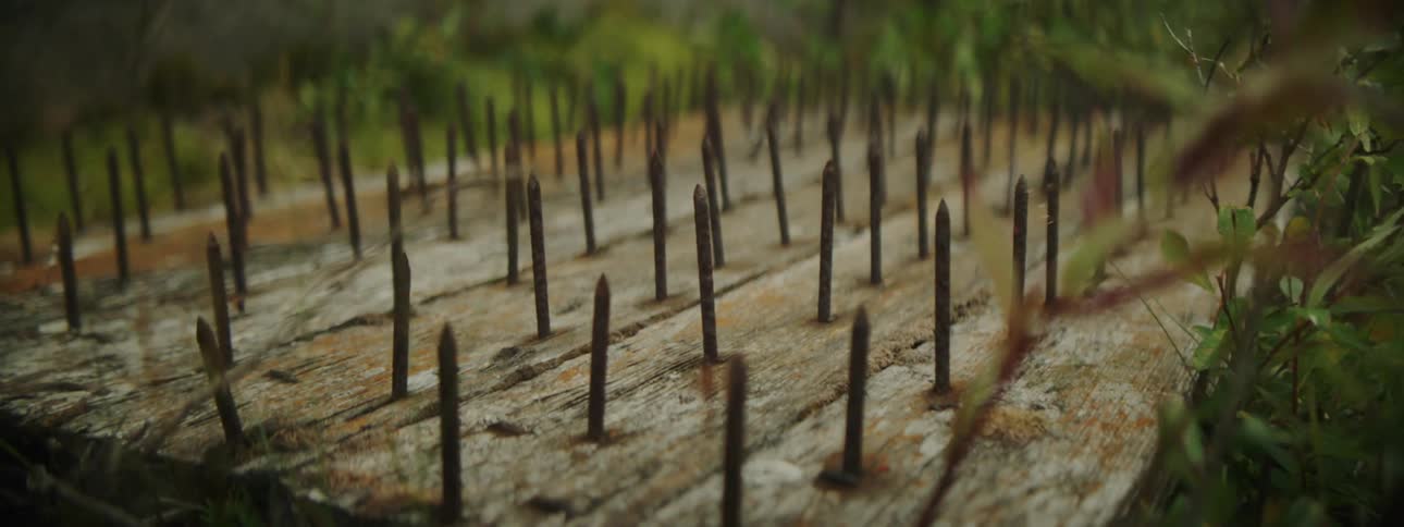 Close up of rusty nails protruding of a wooden board laying on the ground in the backyard