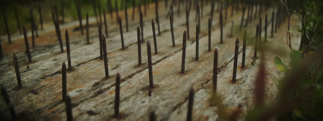Rows of rusty nails sticking out of a wood board