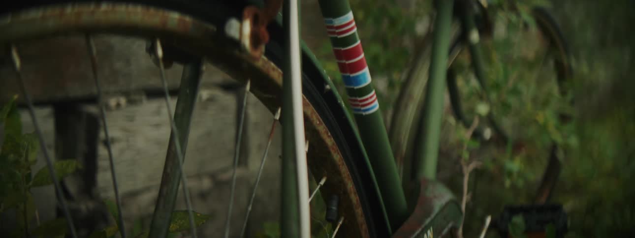 A rusted bicycle is parked in the weeds