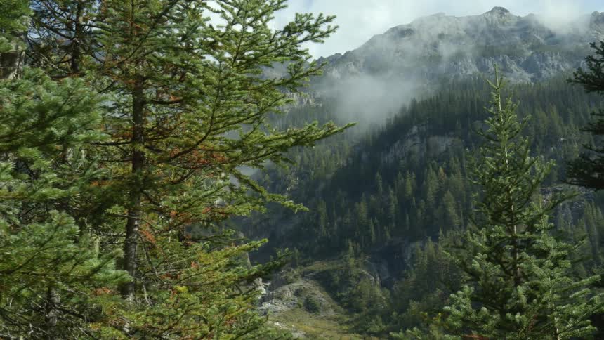 A forested countryside below a foggy mountain ridge during the day