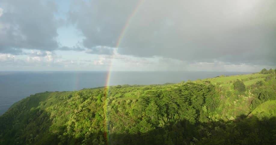 Aerial view of a rainbow over the green lush vegetation on a mountain top at morning