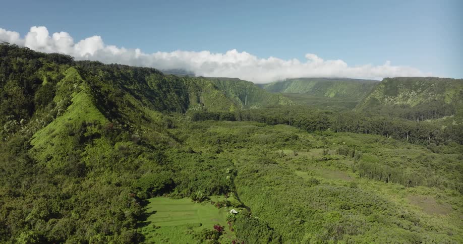 Aerial view of mountains and trees are displayed