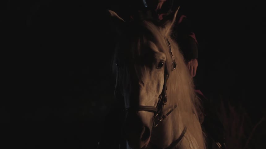 A horse with rider stands beside a fire at night