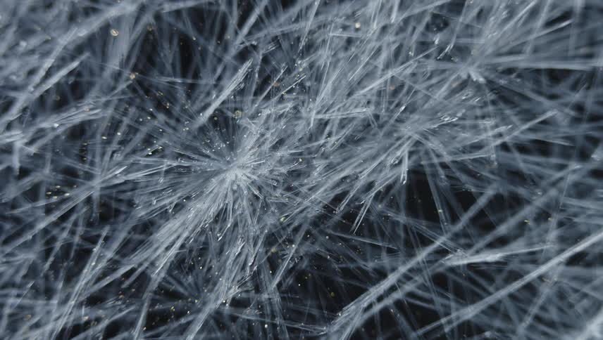 Time lapse close up of of sharp thin frosting ice crystals forming