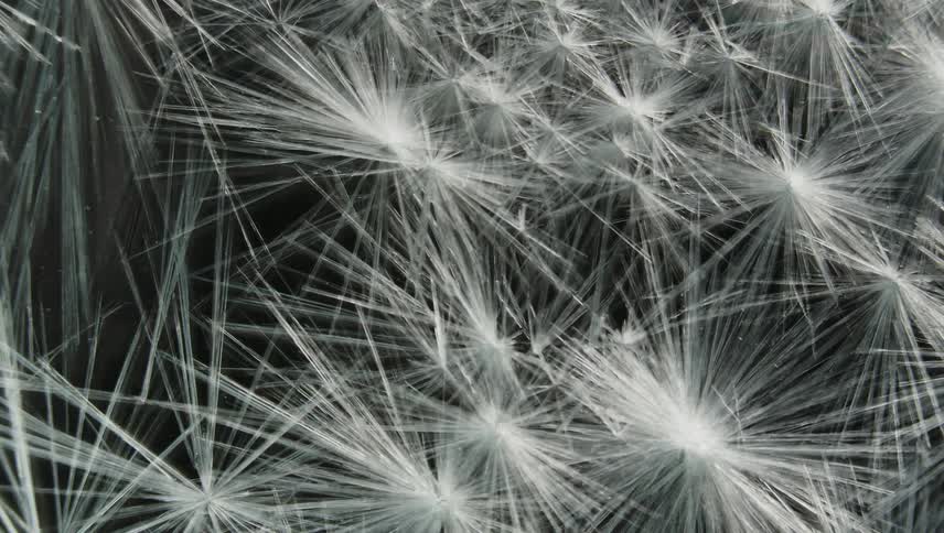 Linear starburst style cracks form in fibreglass
