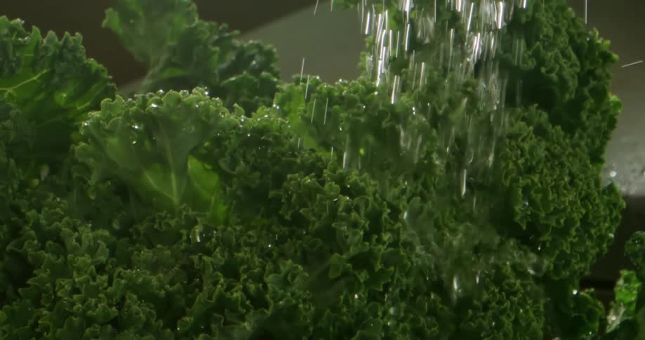 Rinsing the leafs of a green fresh lettuce under a stream of clear clean water on a kitchen sink
