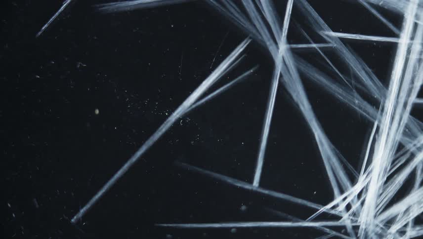 Thin white organic lines grow as they move across the darkness