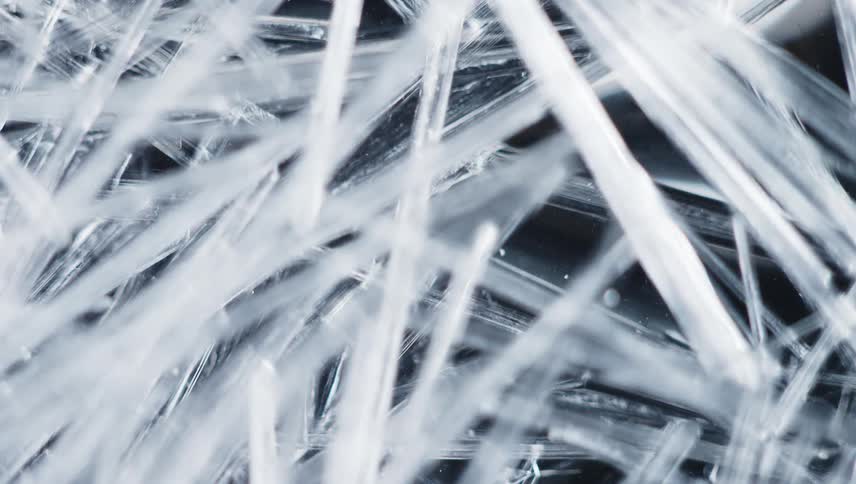 Organic white lines move and burst as they grow across the darkness until it is covered