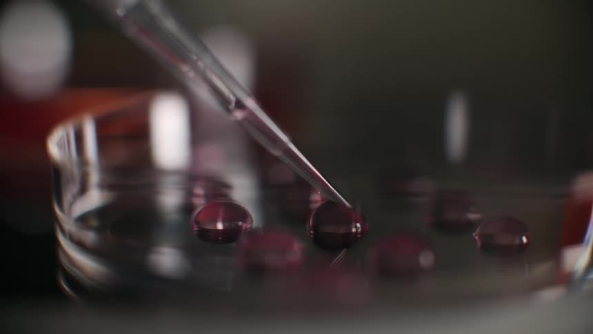 Liquid lab samples are dropped into a petri dish
