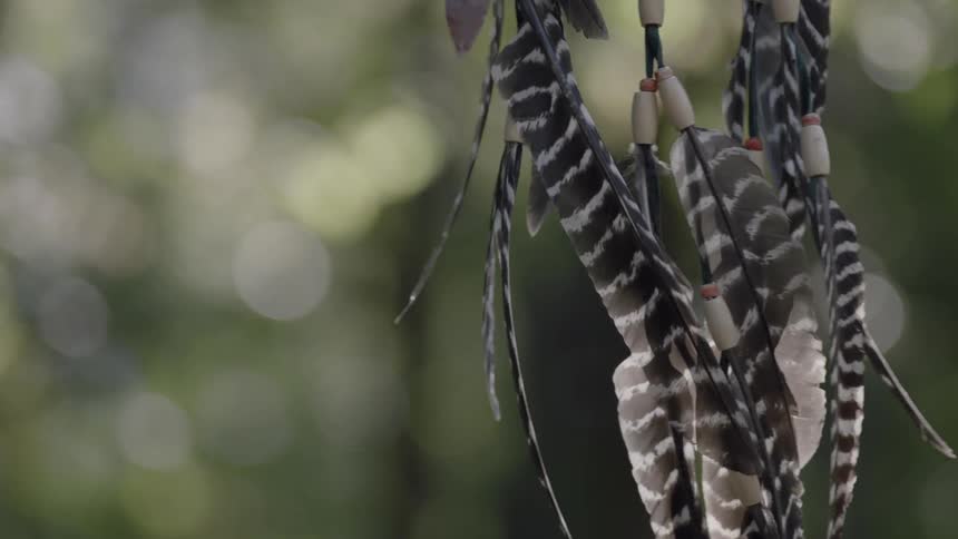 Feathers hanging from a dreamcatcher blowing in the breeze