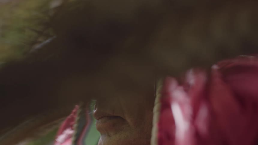 Close-up of tribal person with full headgear