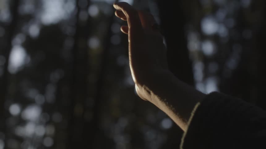 A person reaches his hand up