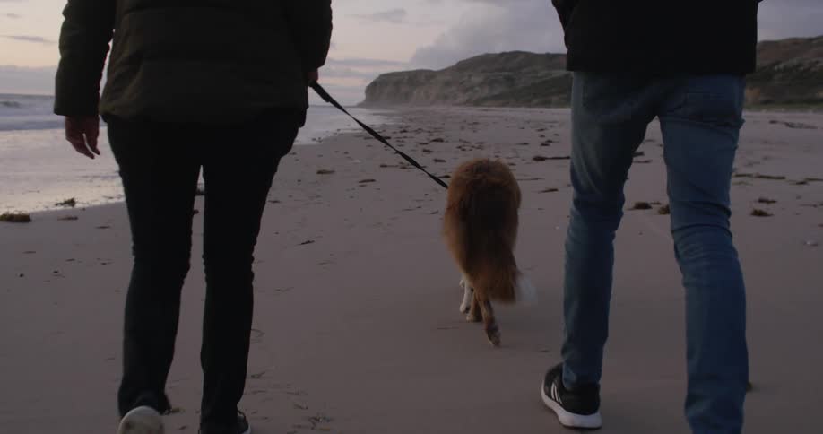 Two people walk their dog on the beach