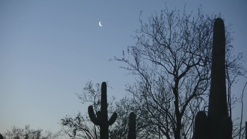 The sun is setting on the desert