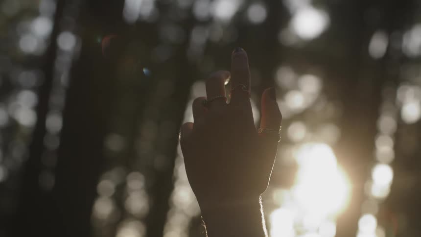 Woman wearing rings reaches their hand up as sun shines through trees