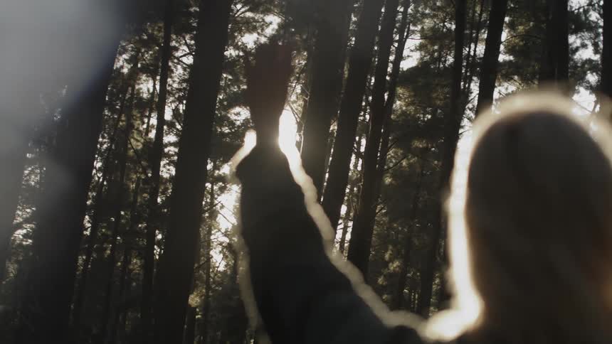 Sun shines through the fingers of a woman rising her hand on the forest at morning
