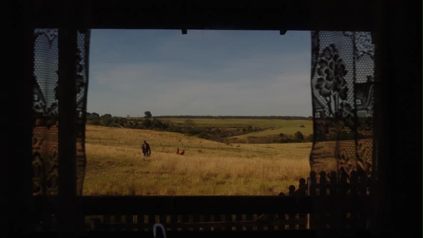 A person is walking through a field in the hills with horses