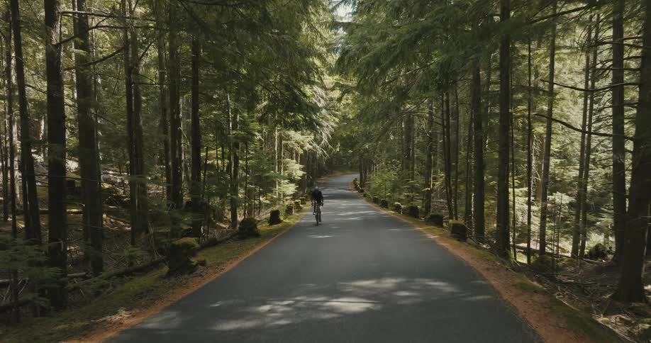 A man cycles on a road through a forest