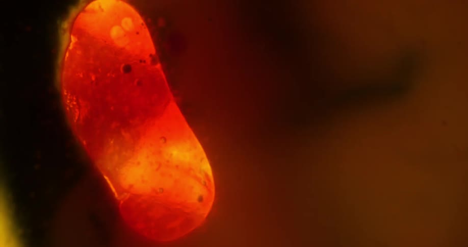 Mass of molten substance shrinks slowly against a brown and black background