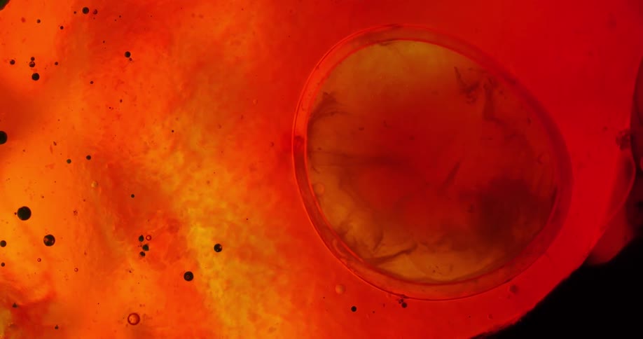 Abstract footage of a cell moving in plasma