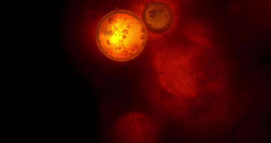 Two cells orbs suddenly join and fuse together as one